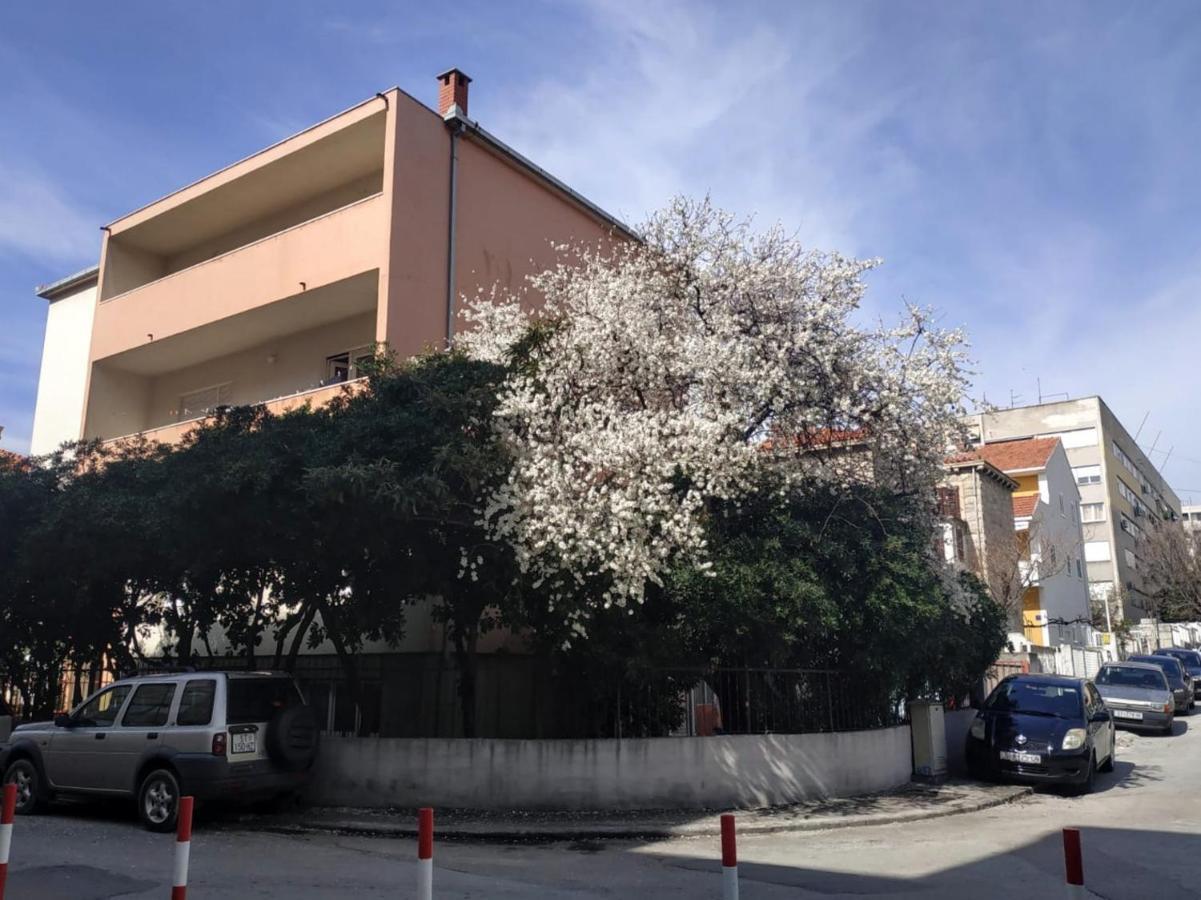Split Symphony Garden: Modern, New Apartment Bagian luar foto