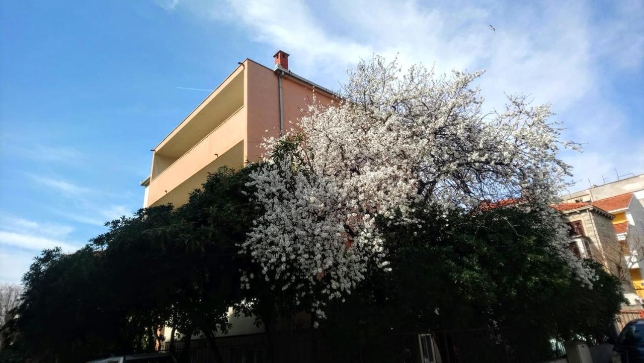 Split Symphony Garden: Modern, New Apartment Bagian luar foto
